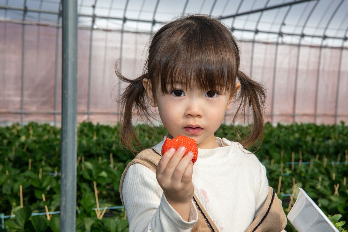 岩坪眞一郎が撮影した写真のアルバム「SNS、宣材写真」