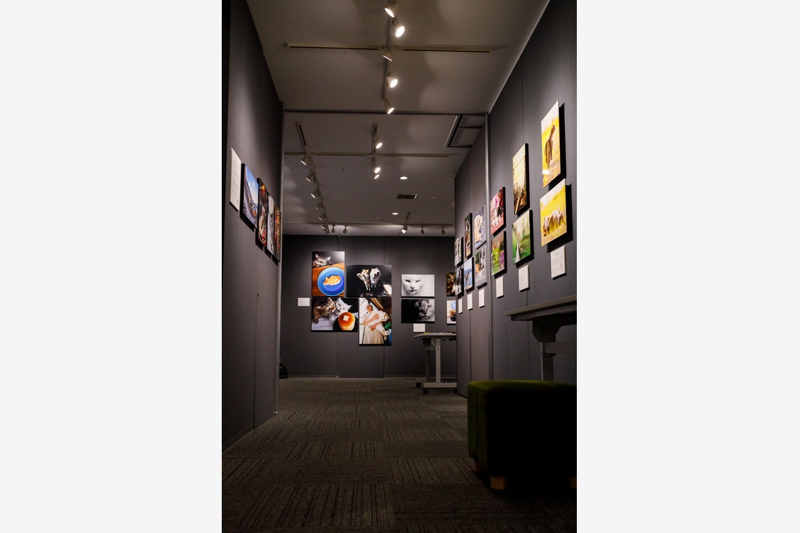 猫田晃広が撮影した写真のアルバム「店舗、サロン、ホテル」