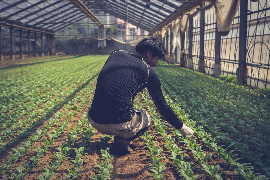 Sunstore 三條康貴が撮影した「スナップ」の写真