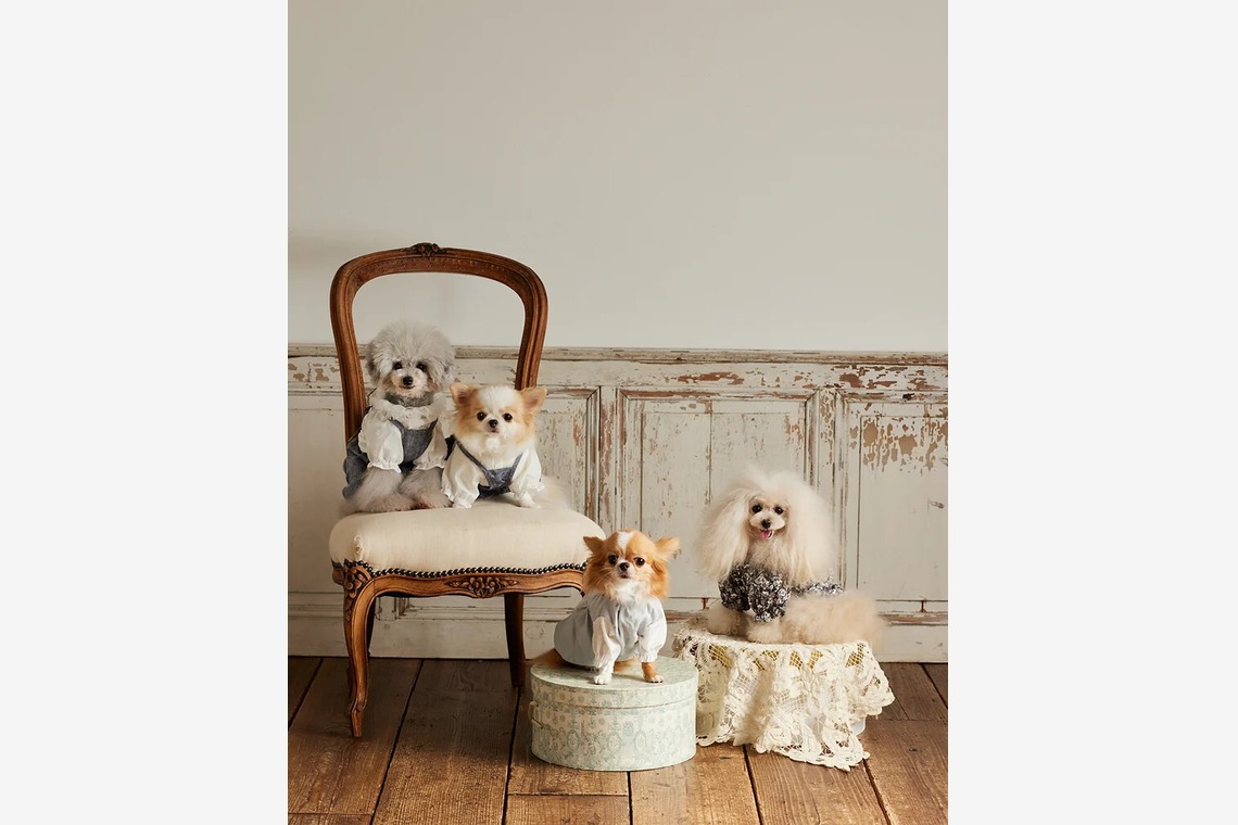 白井由香里写真事務所が撮影した写真のアルバム「動物」