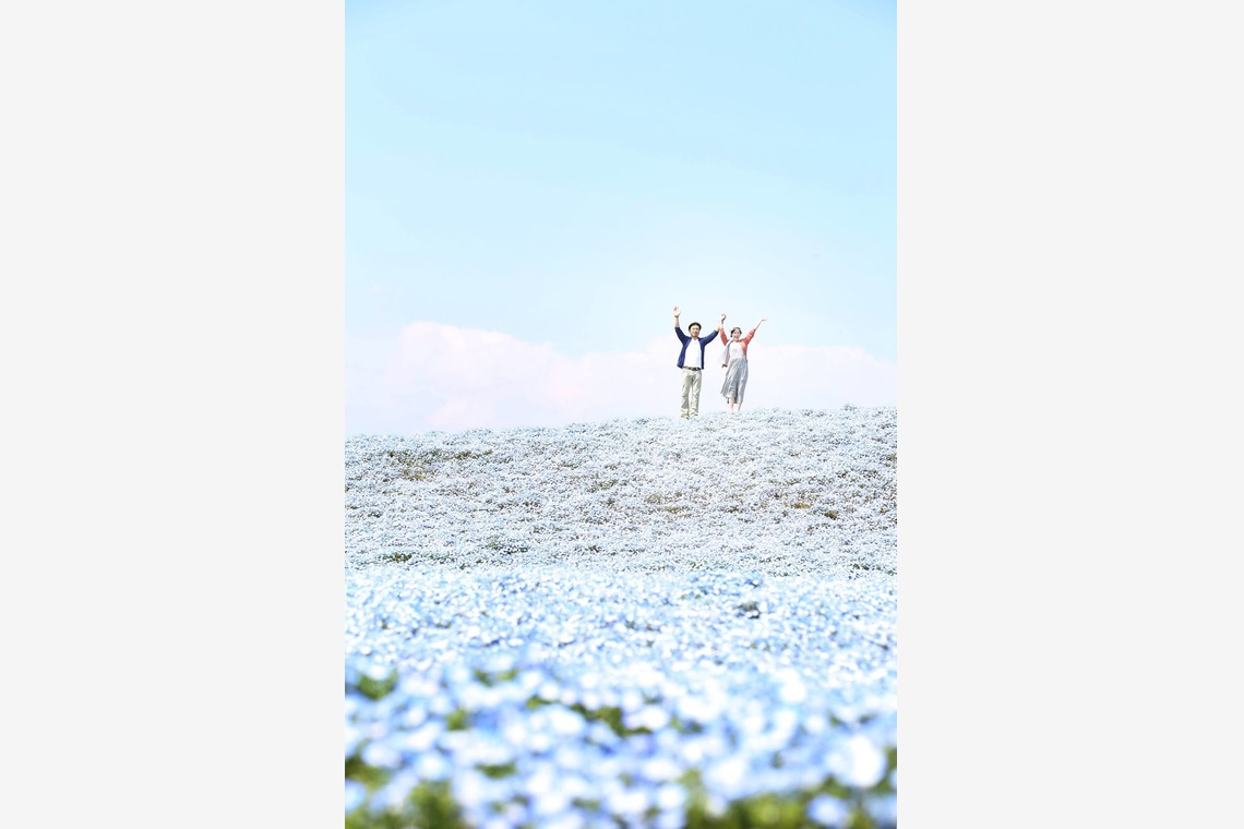 STUDIO AQUA (スタジオアクア)が撮影した「エンゲージメントフォト」の写真