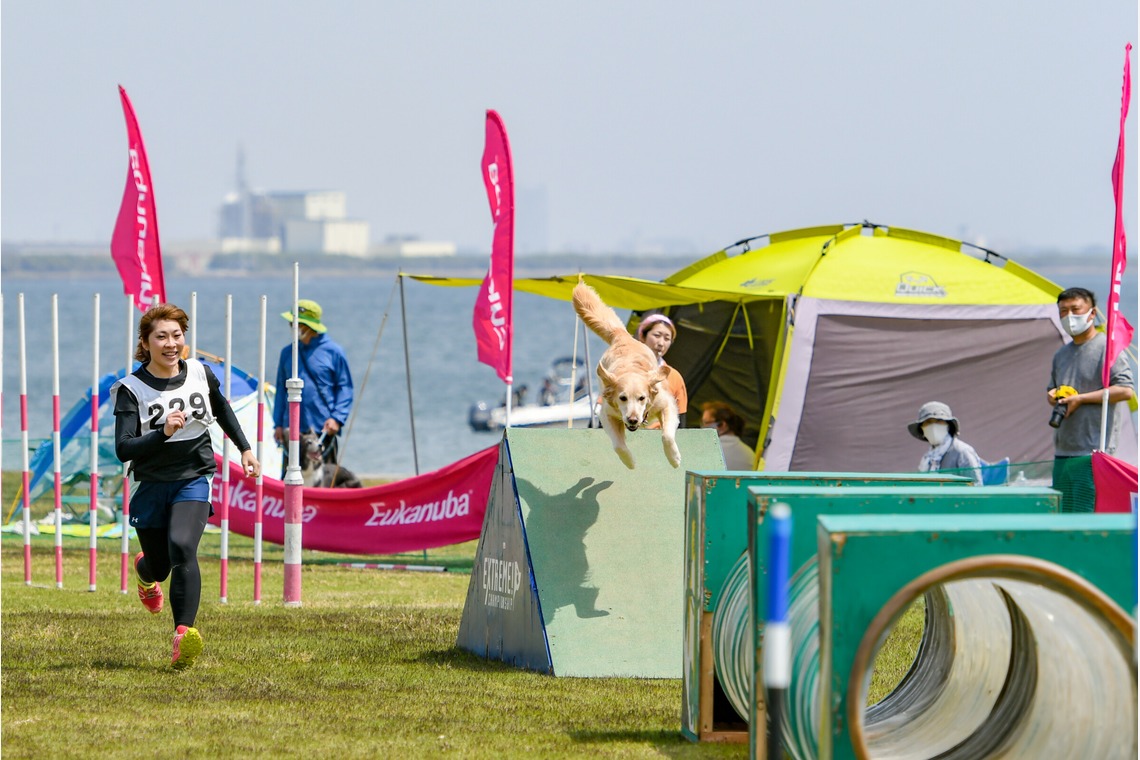 スタジオファンタスが撮影した「ドッグスポーツエクストリーム」の写真