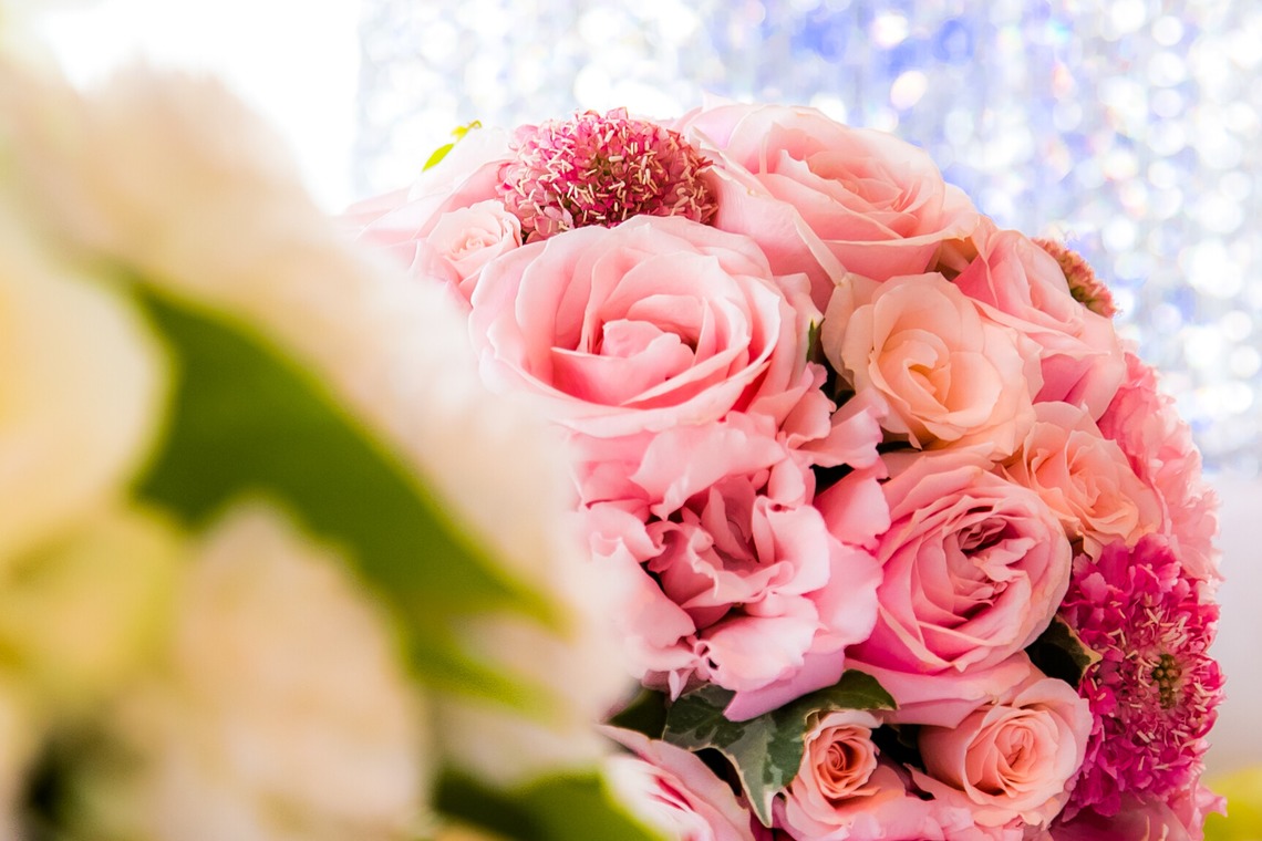 VOICE PHOTOGRAPH OFFICE // ボイス・フォト