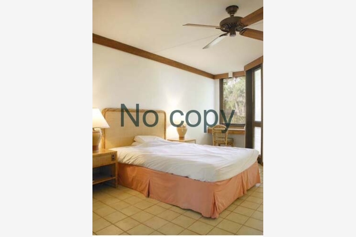 有限会社フリーディメンション　田中勝巳が撮影した写真のアルバム「ロケーション撮影、イベント撮影」