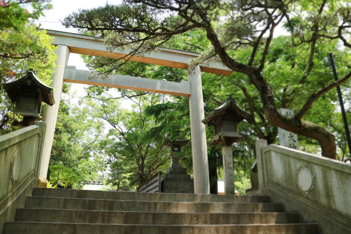 出張撮影のメモリーズが撮影した「nature-アラカルト」の写真