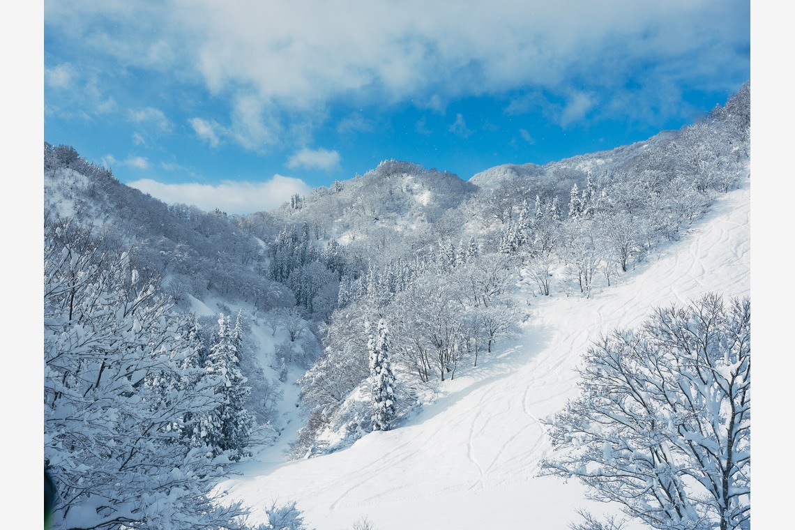 吉平仁が撮影した「スキー場」の写真