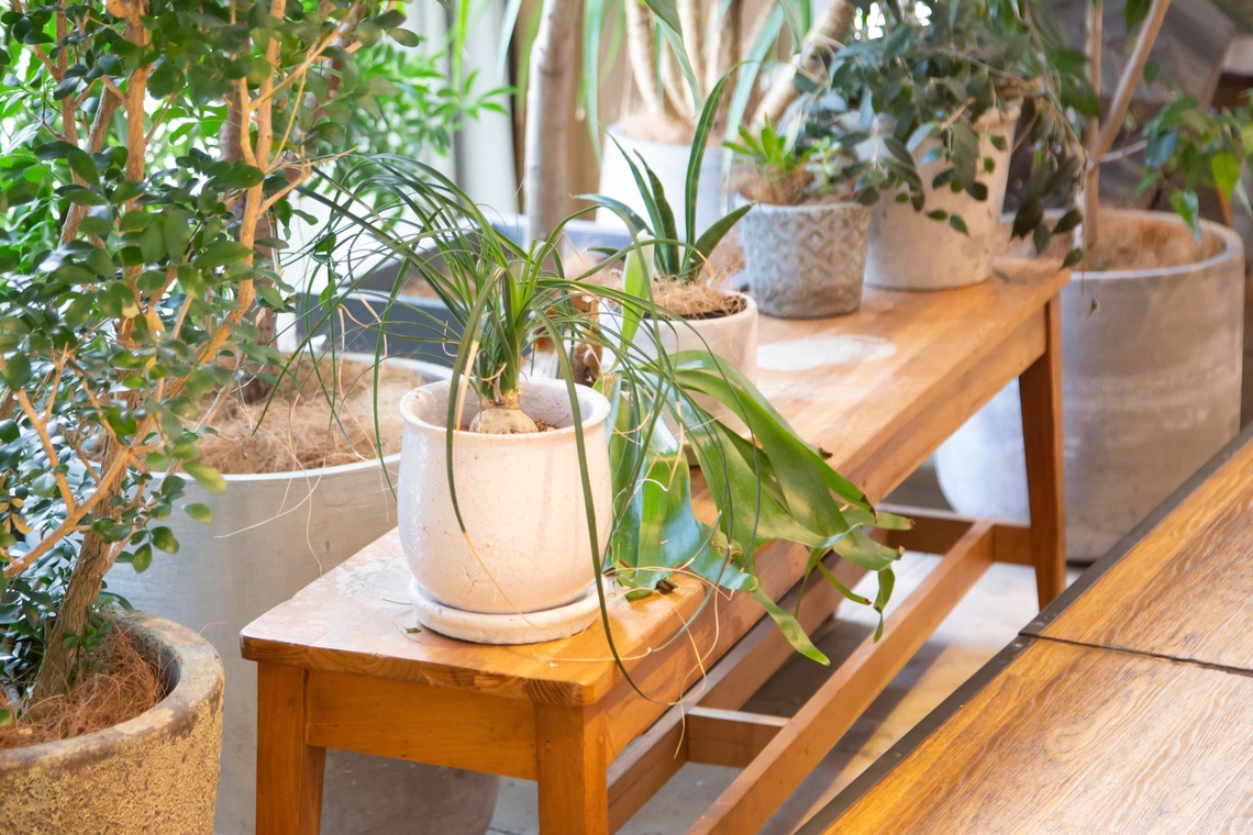 k.filmsが撮影した「京都のウエディング撮影」の写真