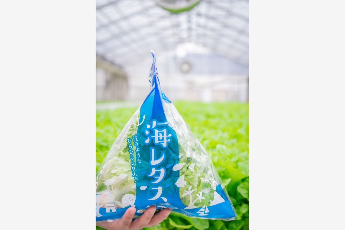 早川麗華が撮影した「企業向け/HP・広告使用写真」の写真