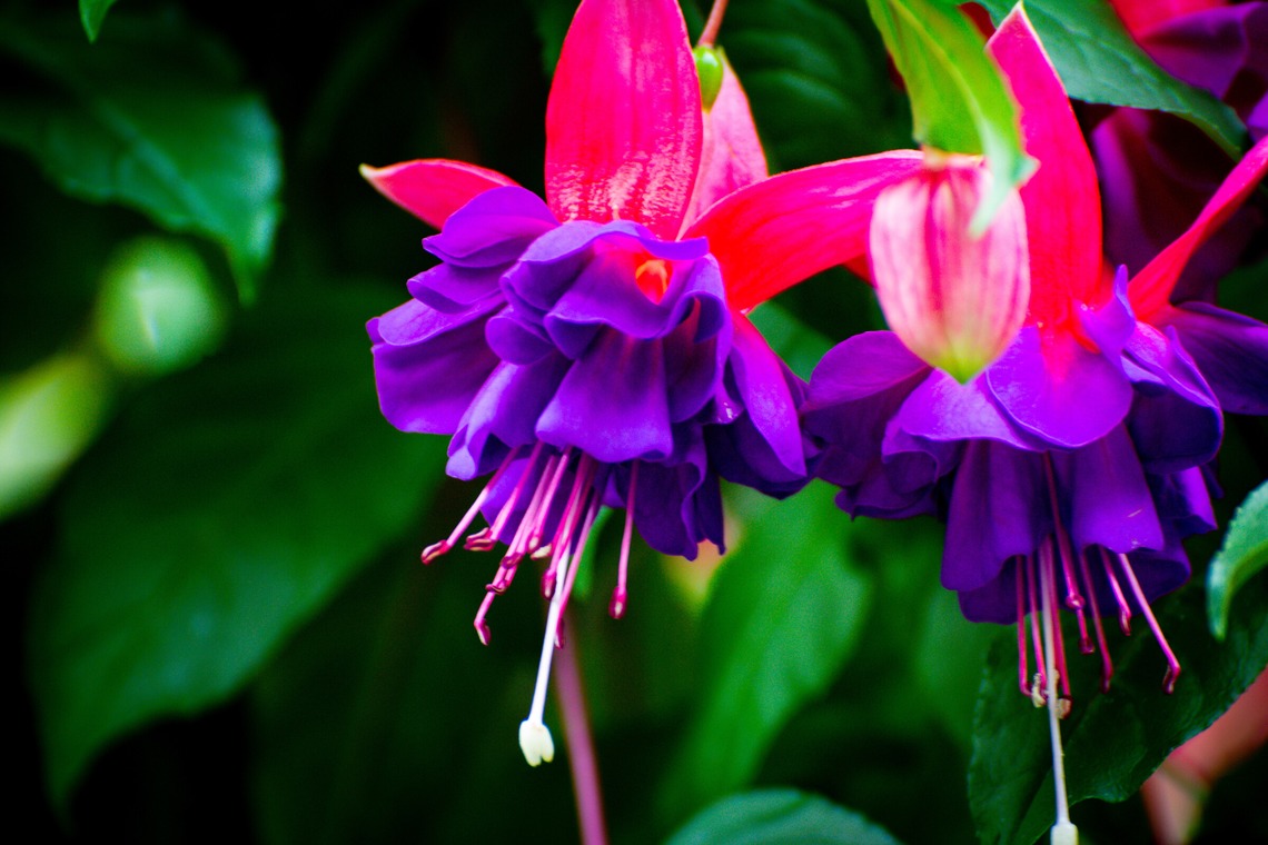 水嶋 将太が撮影した「思い出。」の写真