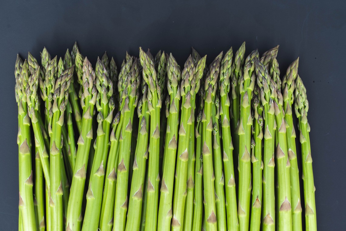 oryo studioが撮影した写真のアルバム「記事」