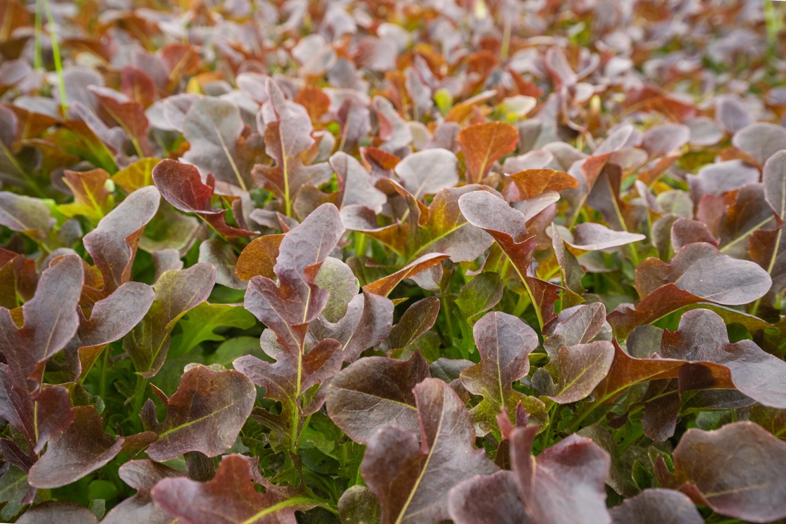 出張撮影TLaboが撮影した写真のアルバム「求人用　職場風景の撮影」