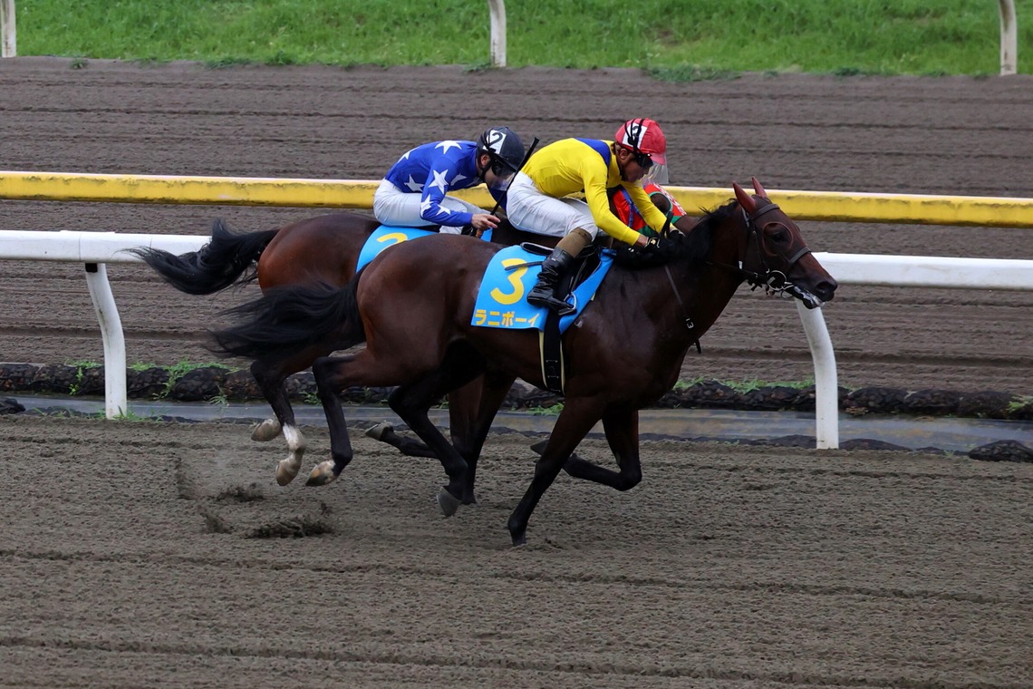 ms photoが撮影した「各種スポーツイベント」の写真