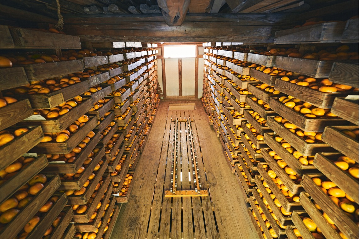 大橋裕紀が撮影した「みかん農園様の商品撮影とスナップ」の写真