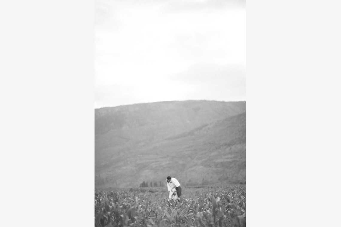 Eric Drahtが撮影した「　カナダ」の写真