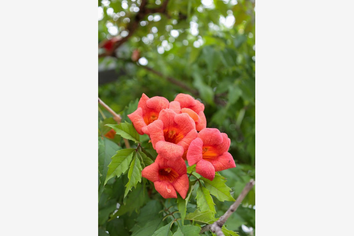 RETRIN株式会社が撮影した「大阪」の写真