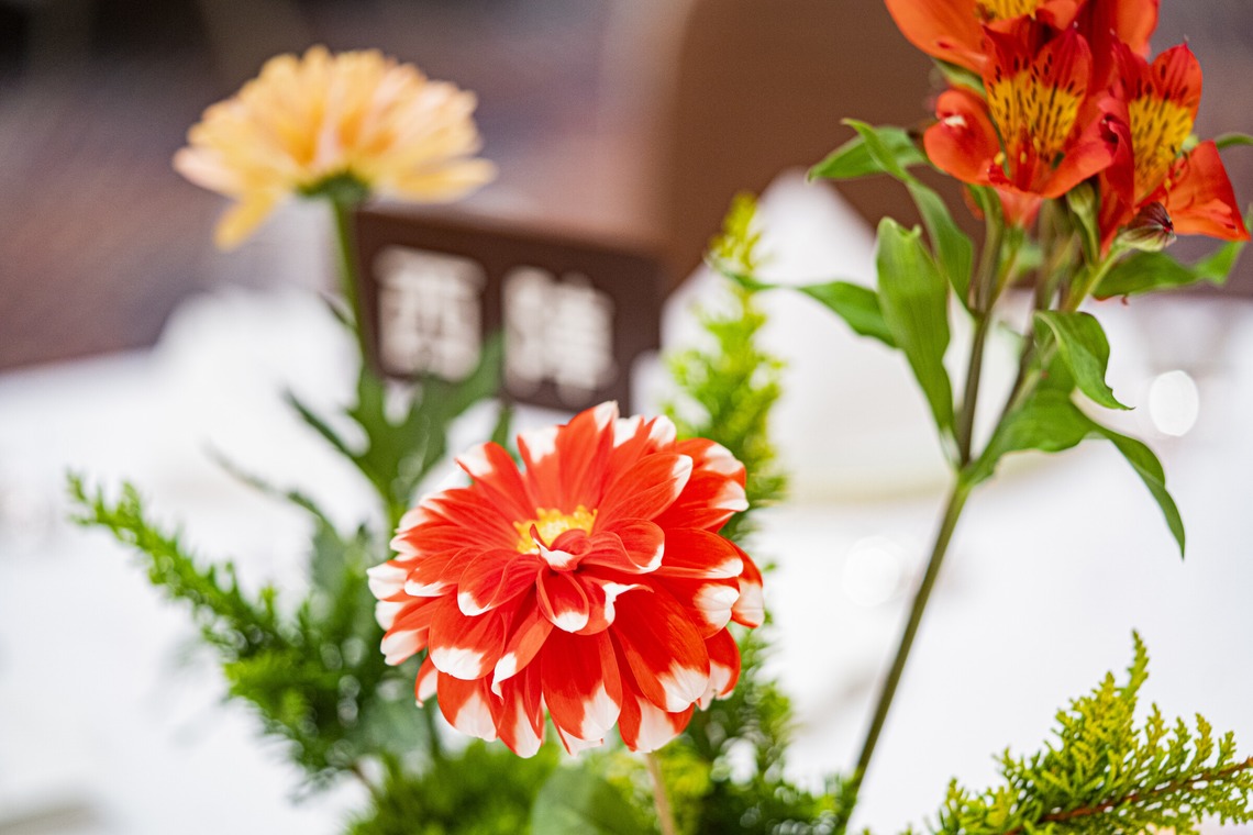 スタジオ11が撮影した写真のアルバム「式場撮影案件B」