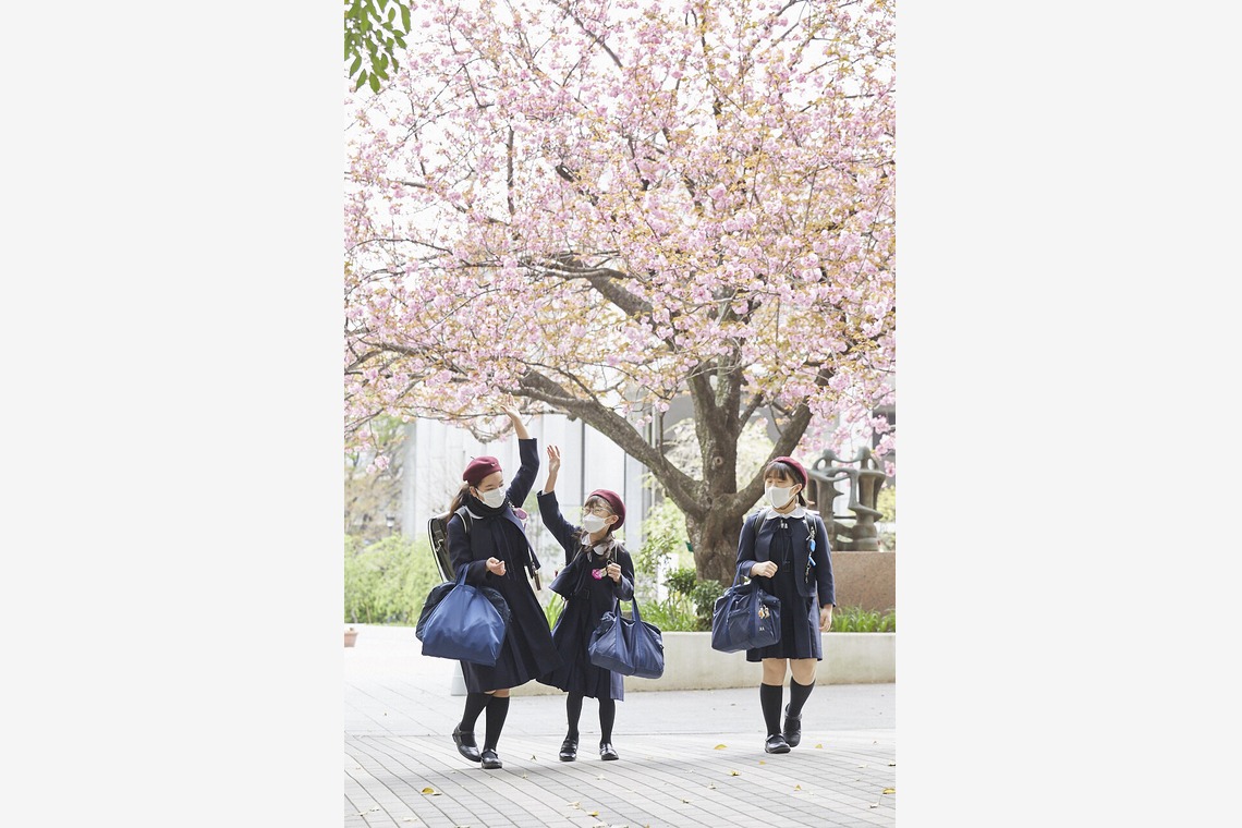 bluevalleyが撮影した「ポートフォリオ」の写真