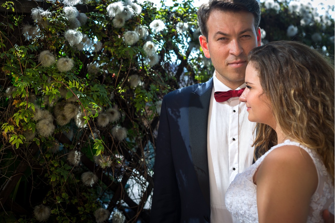 Wedding Photography Dubaiが撮影した「ドバイで???カメ」の写真