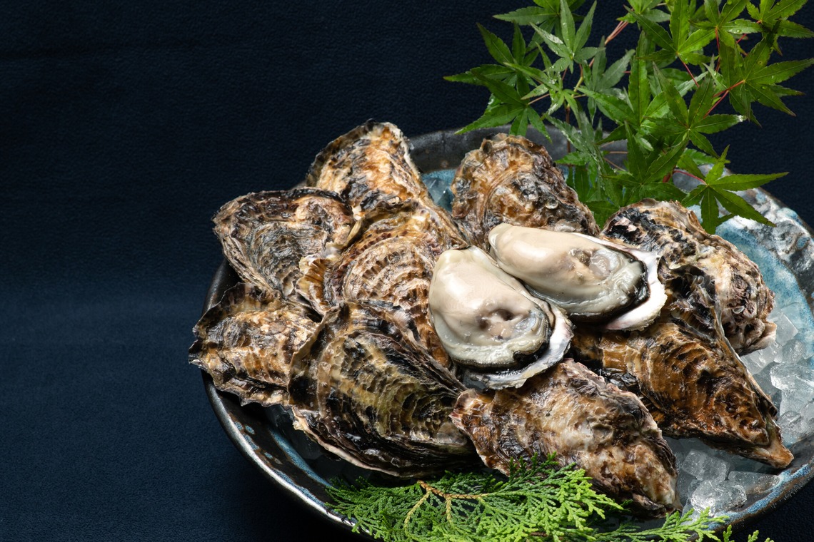 Pan-nu quality photo works