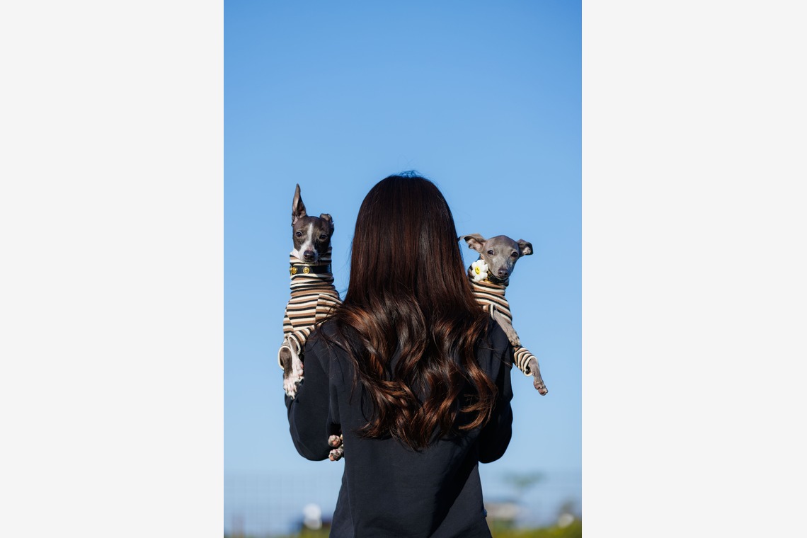 T.Matsumuraが撮影した「ペット」の写真