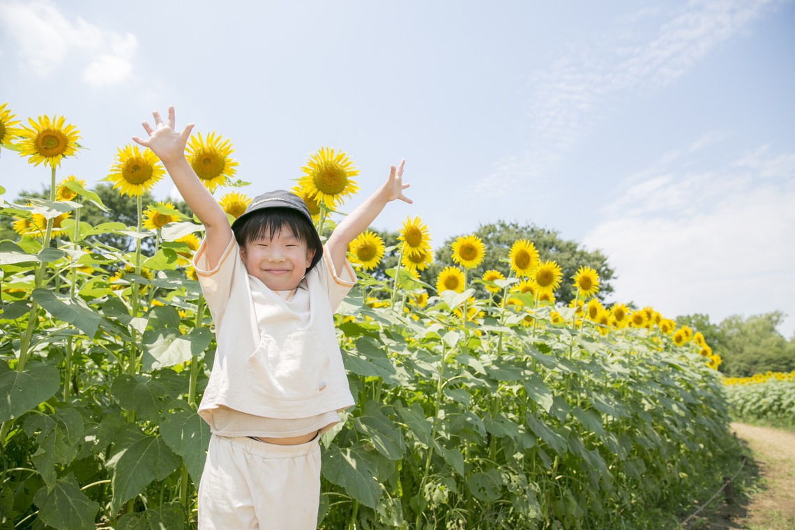 スタジオミルク