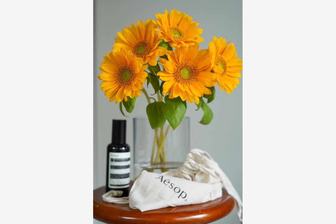 コウヤマレイナが撮影した写真のアルバム「静物」