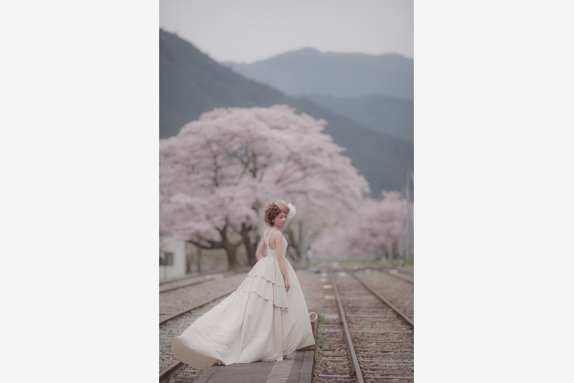  グラフィーズが撮影した写真のアルバム「桜」