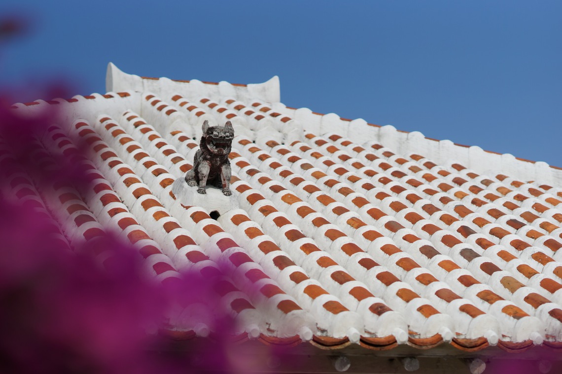 難波卓美が撮影した「街角スナップ」の写真