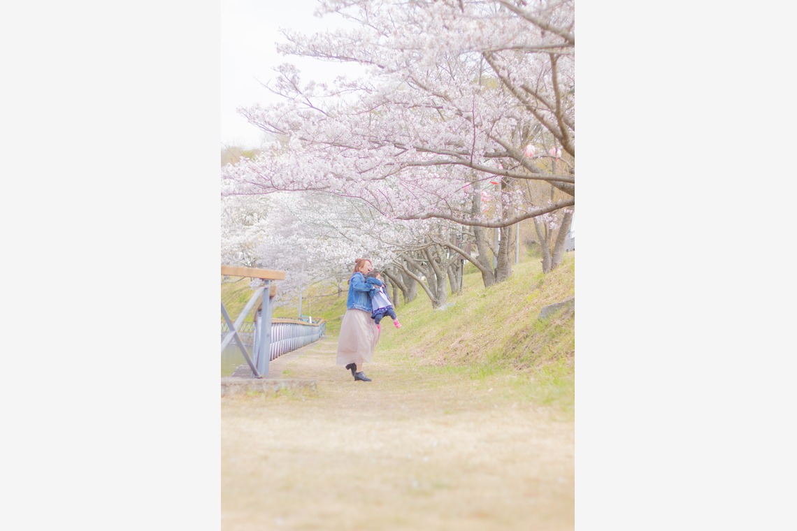 ゆのみふぉとが撮影した家族写真の出張撮影のアルバム「桜とお写真」