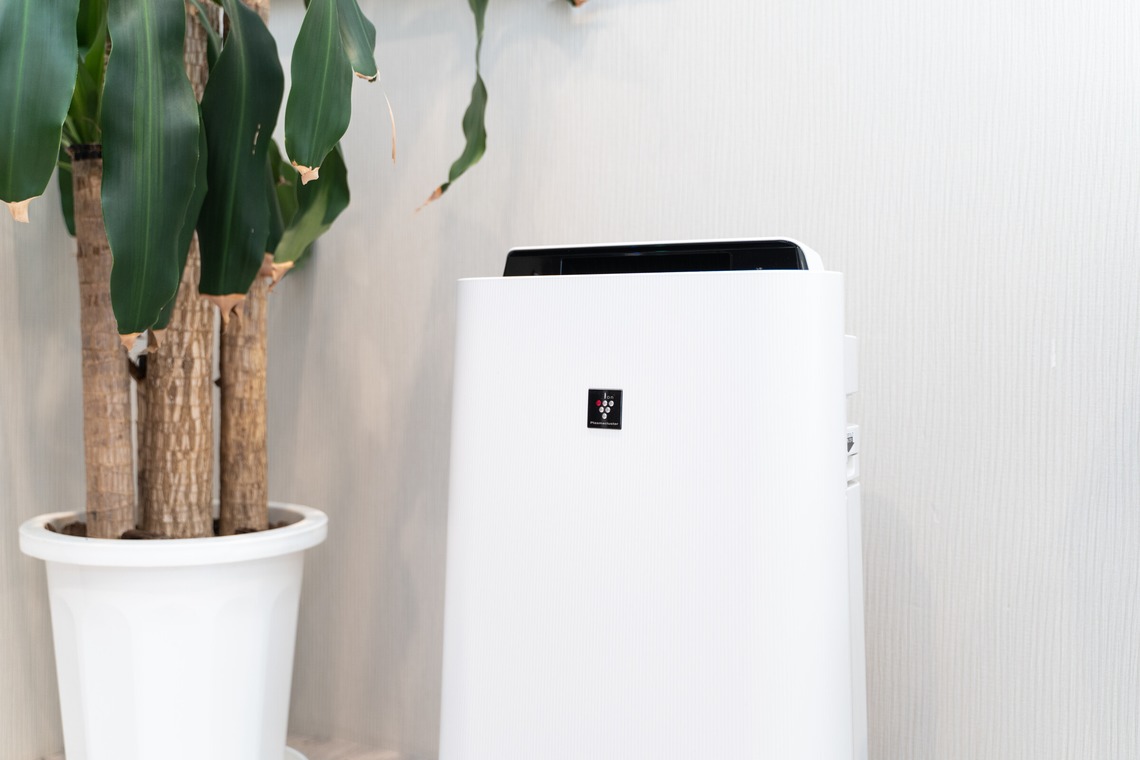 川嶋佑実が撮影した写真のアルバム「クリニック・病院内観」