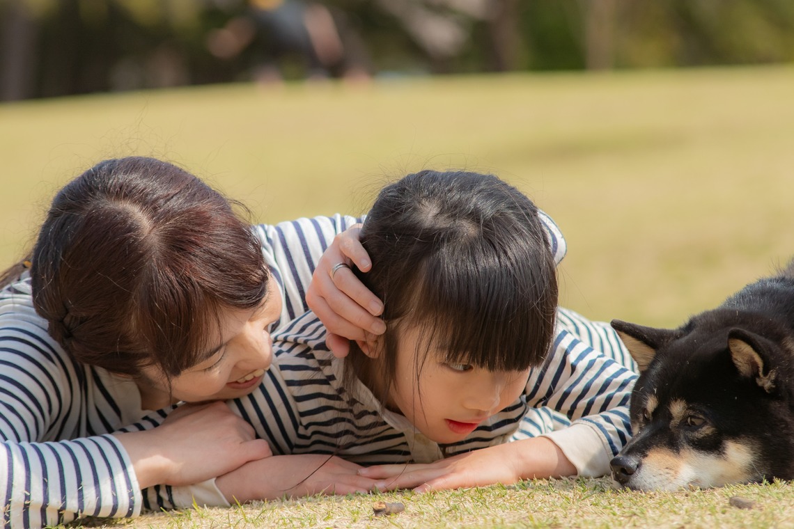 上ノ園　芳樹が撮影した「家族写真（出張撮影）」の写真