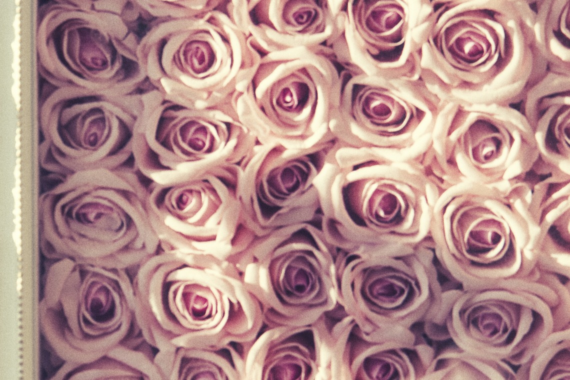 エビスフィルムが撮影した写真のアルバム「物撮り」