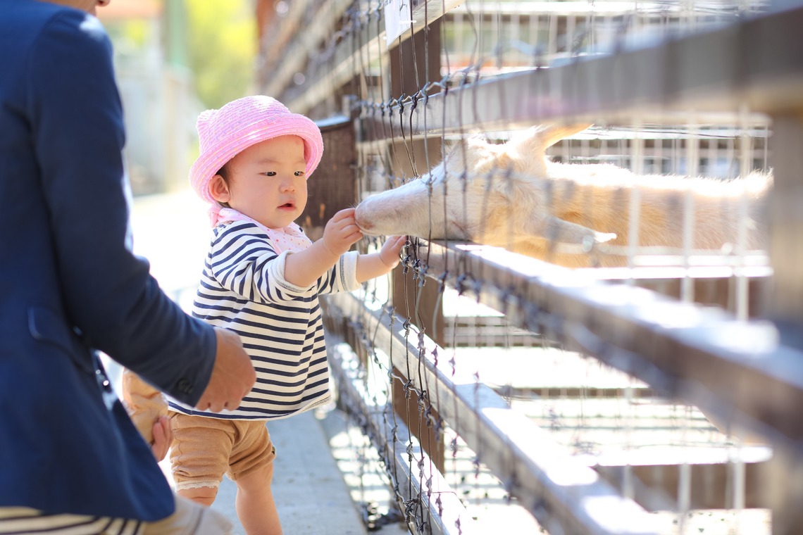 今西健二が撮影した写真のアルバム「１歳バースデー」