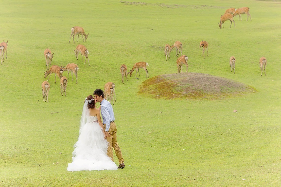 2 of usが撮影した「photo @ Kyoto」の写真