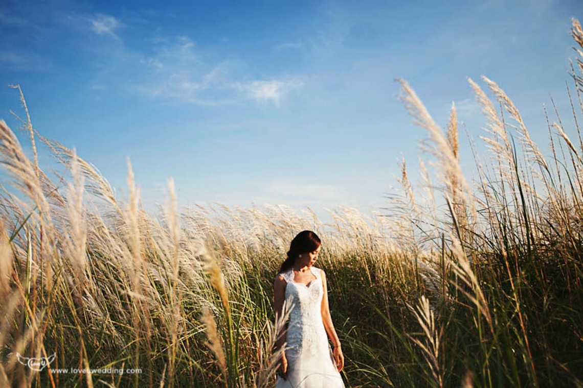 Trust photoが撮影した「台湾のKentingの場所」の写真