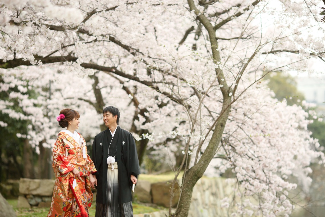 KIKIウェディングが撮影した写真のアルバム「」