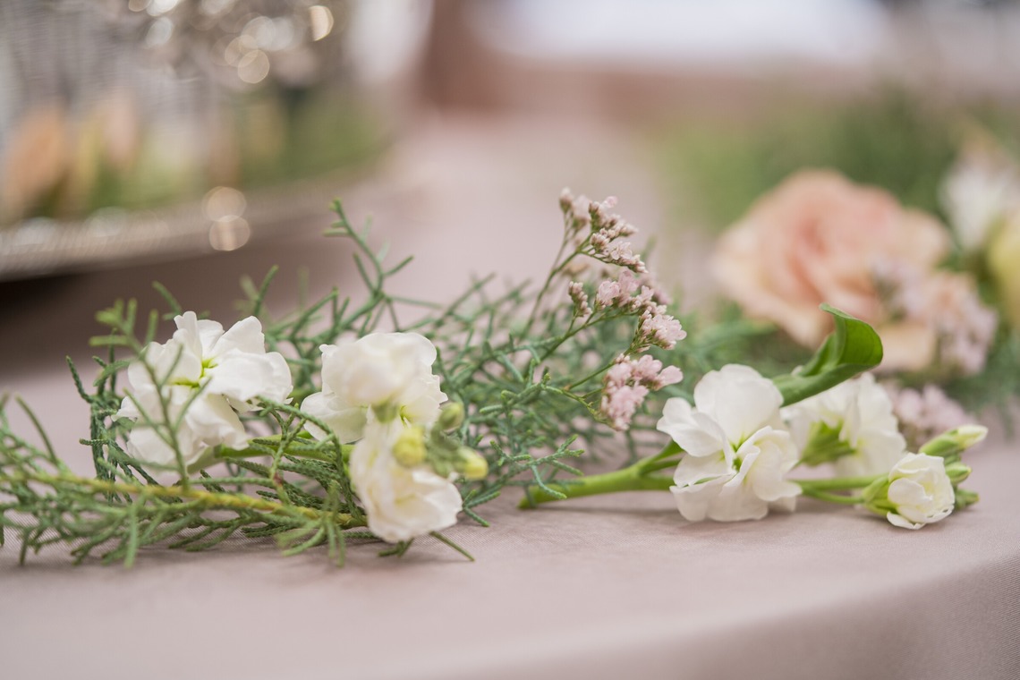 スタジオ11が撮影した写真のアルバム「式場撮影案件」