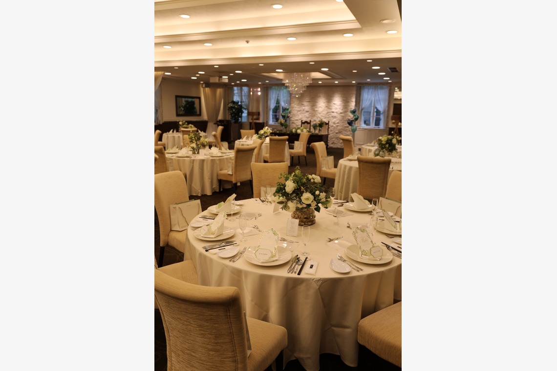 アナハイムエレクトロニクス