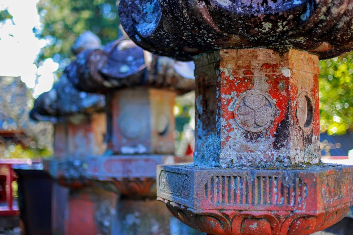 TAROU_HATANAKA が撮影した「」の写真