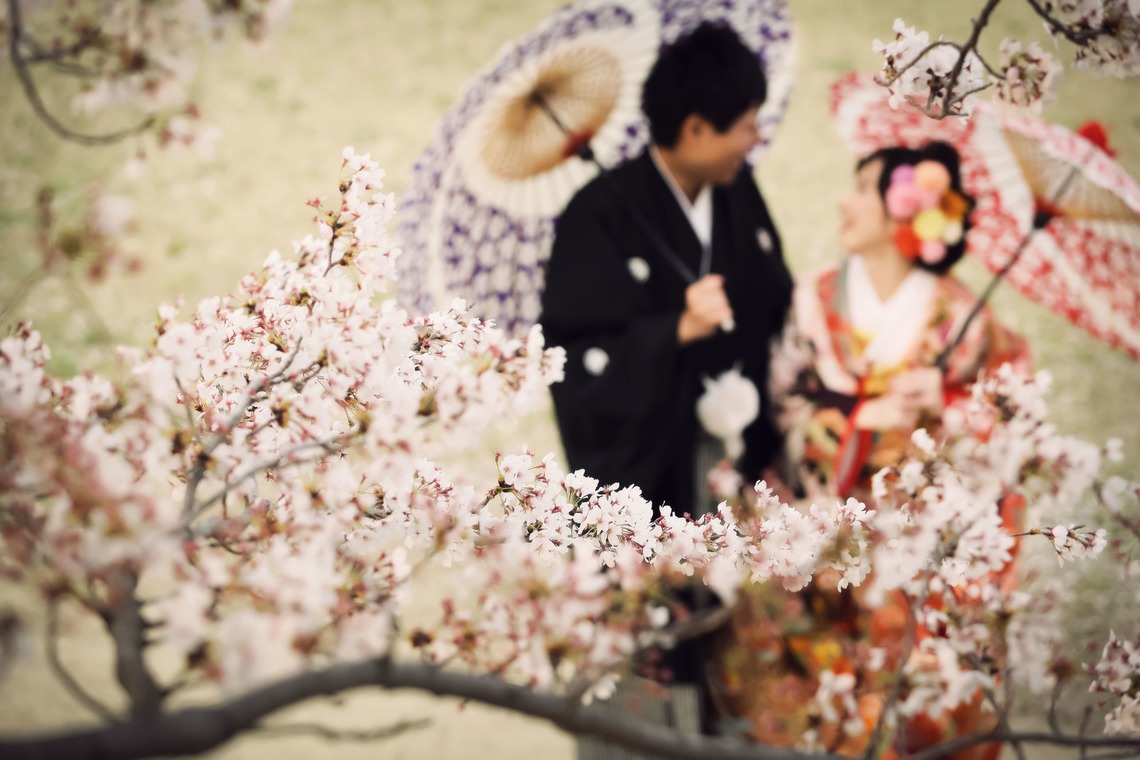 elle pupaが撮影した「京都」の写真