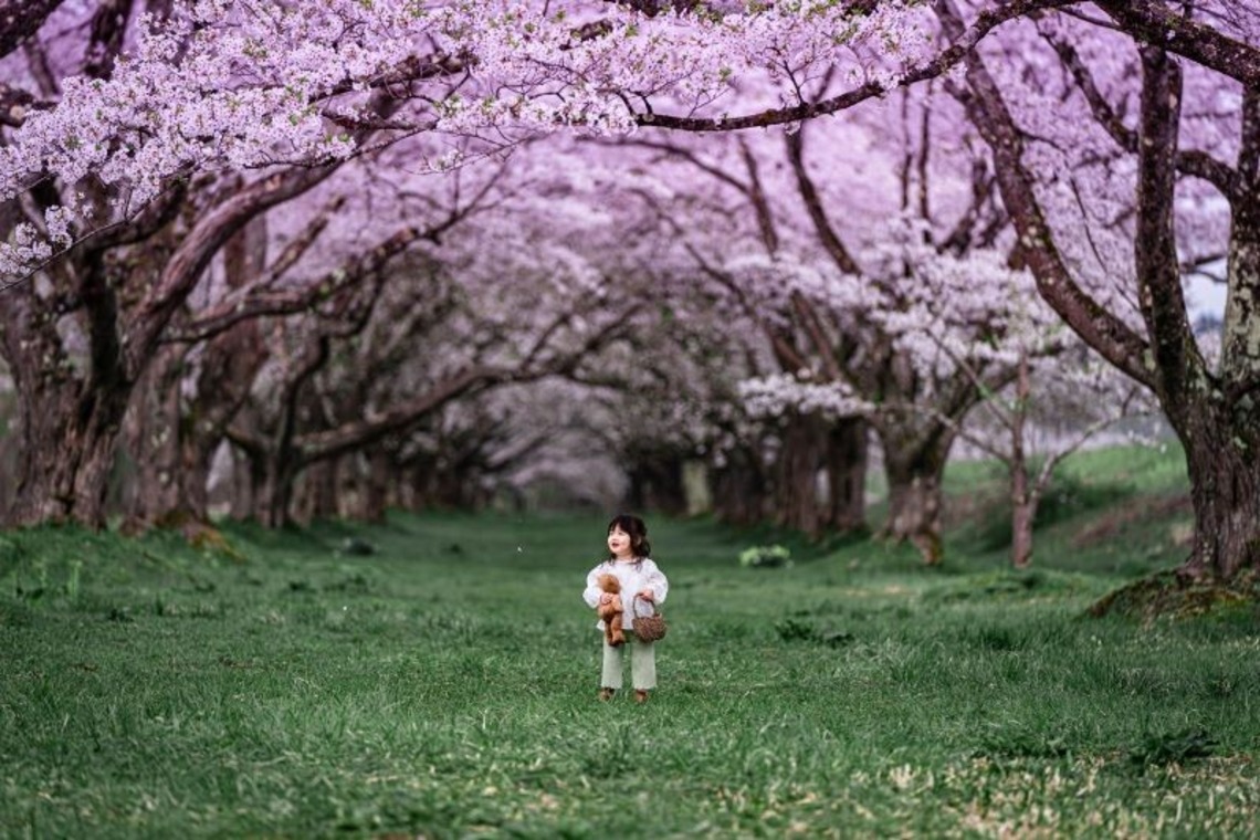 佐藤　克利が撮影した「宮城県、山形県、福島県、岩手県」の写真