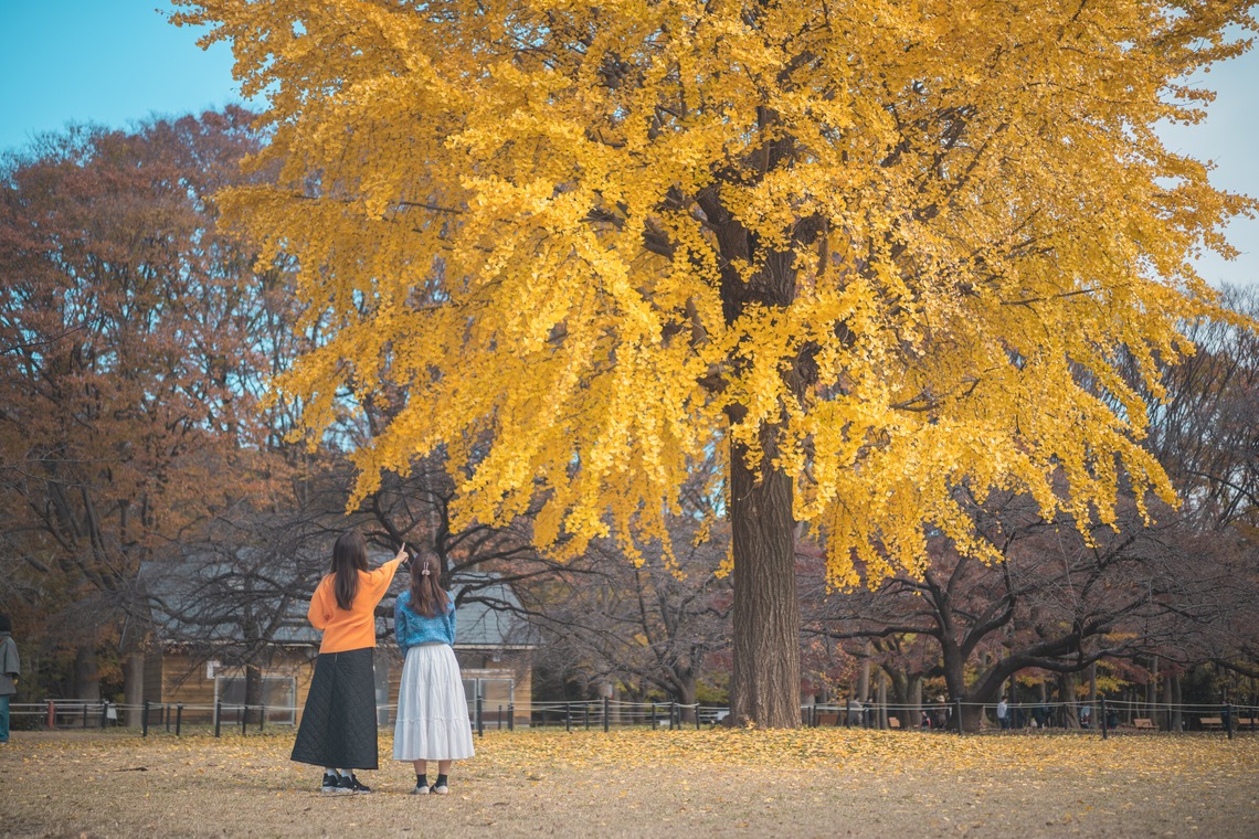 三橋宣貴が撮影した写真のアルバム「代々木公園フレンドフォト」