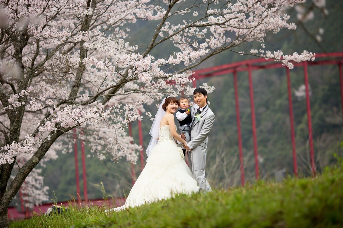 KIKIウェディングが撮影した写真のアルバム「桜ロケーション」