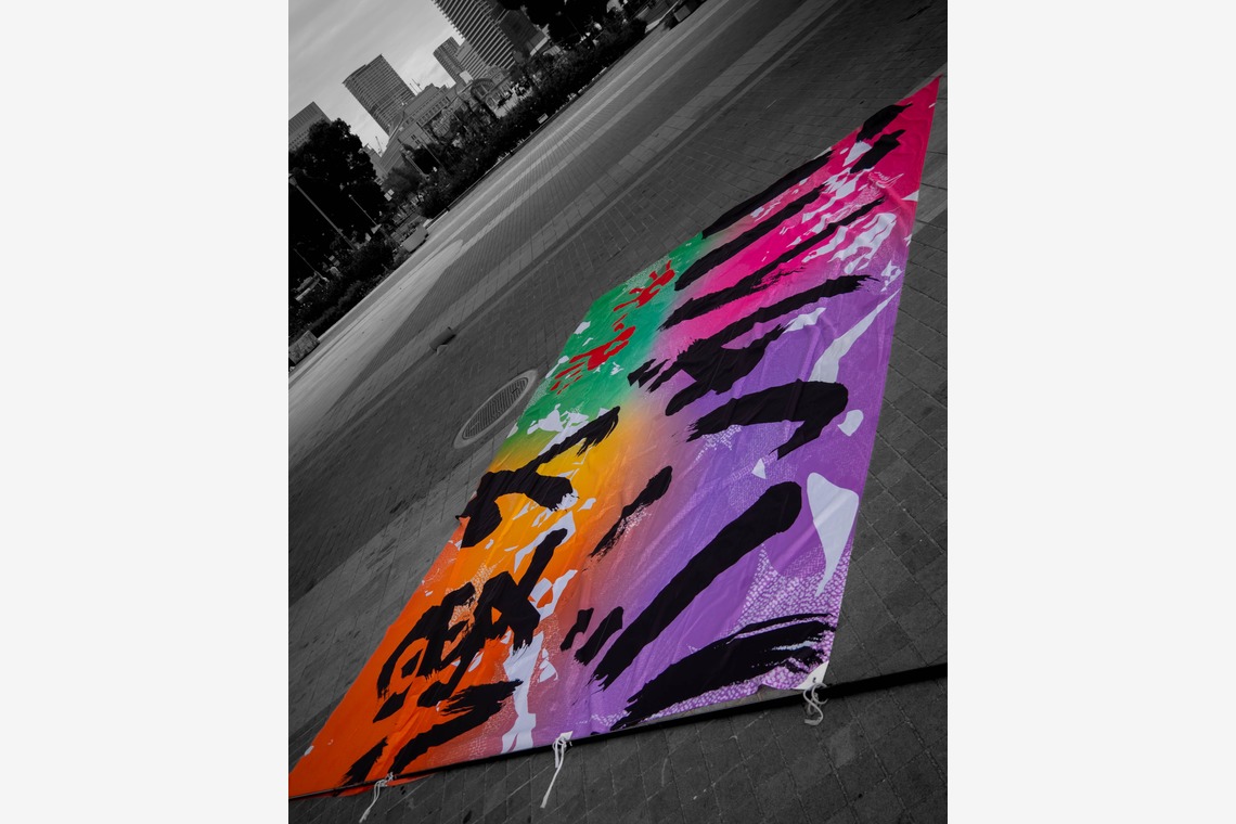 ハイナ　マテウスが撮影した写真のアルバム「情熱の旗」