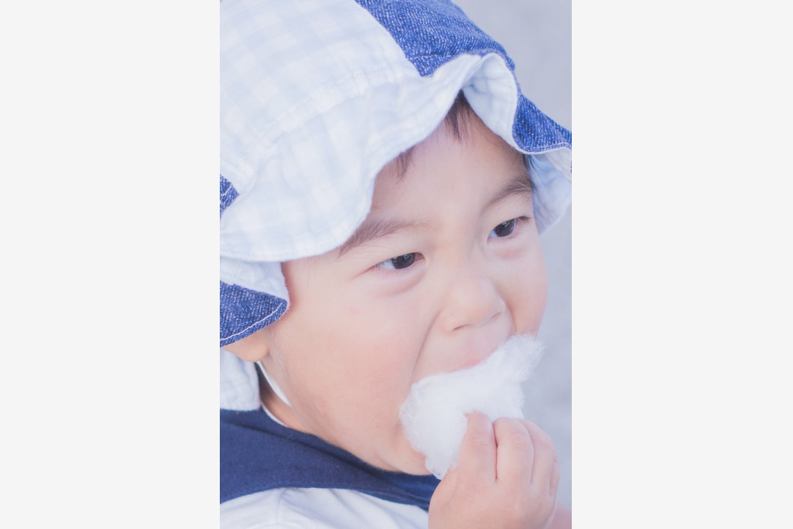 写真スペース　フォトラッシュが撮影した「山口ゆめ花博」の写真