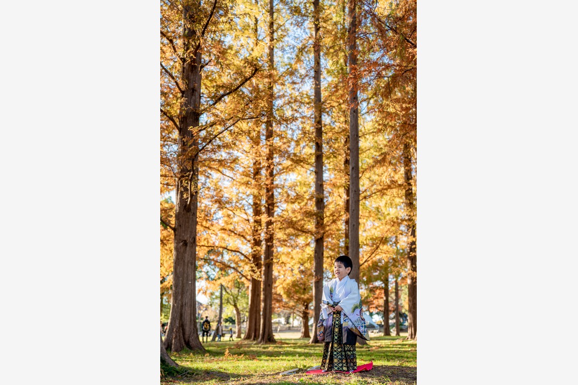 出張カメラマンのY's Officeが撮影した写真のアルバム「七五三出張撮影」