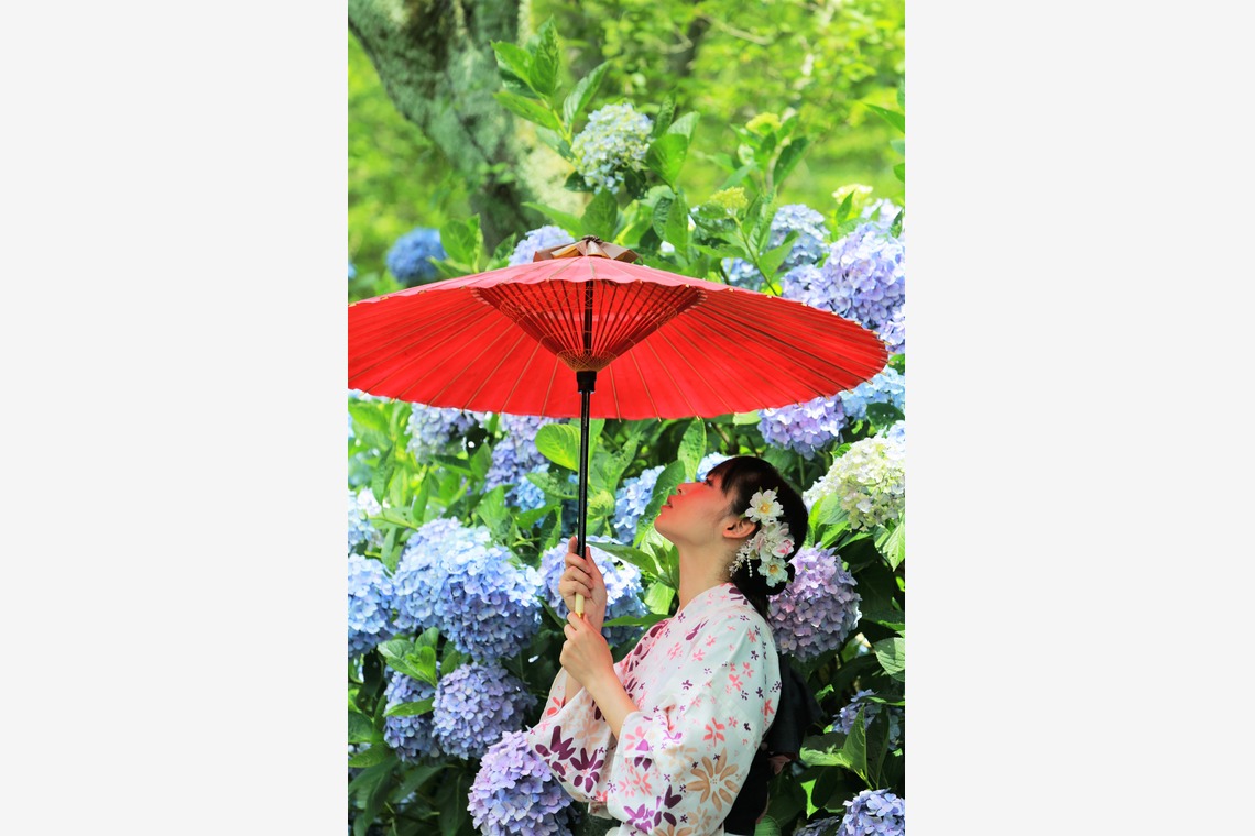 お祝い写し屋が撮影した「モデル、コーポレート撮影」の写真