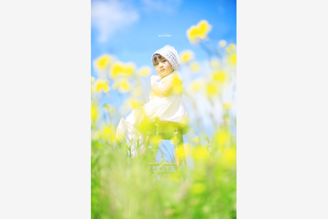 スタジオ アマレットが撮影した写真のアルバム「家族写真」