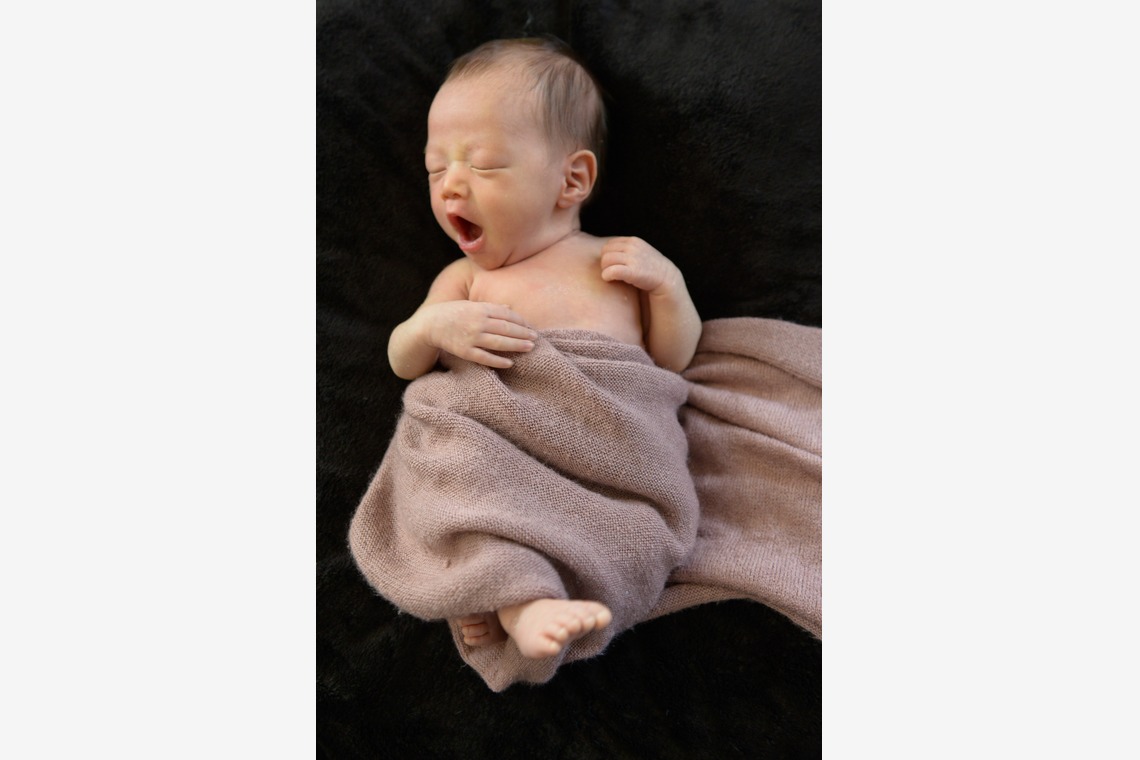 アラタンホヤガが撮影した写真のアルバム「ニューボーンフォト」