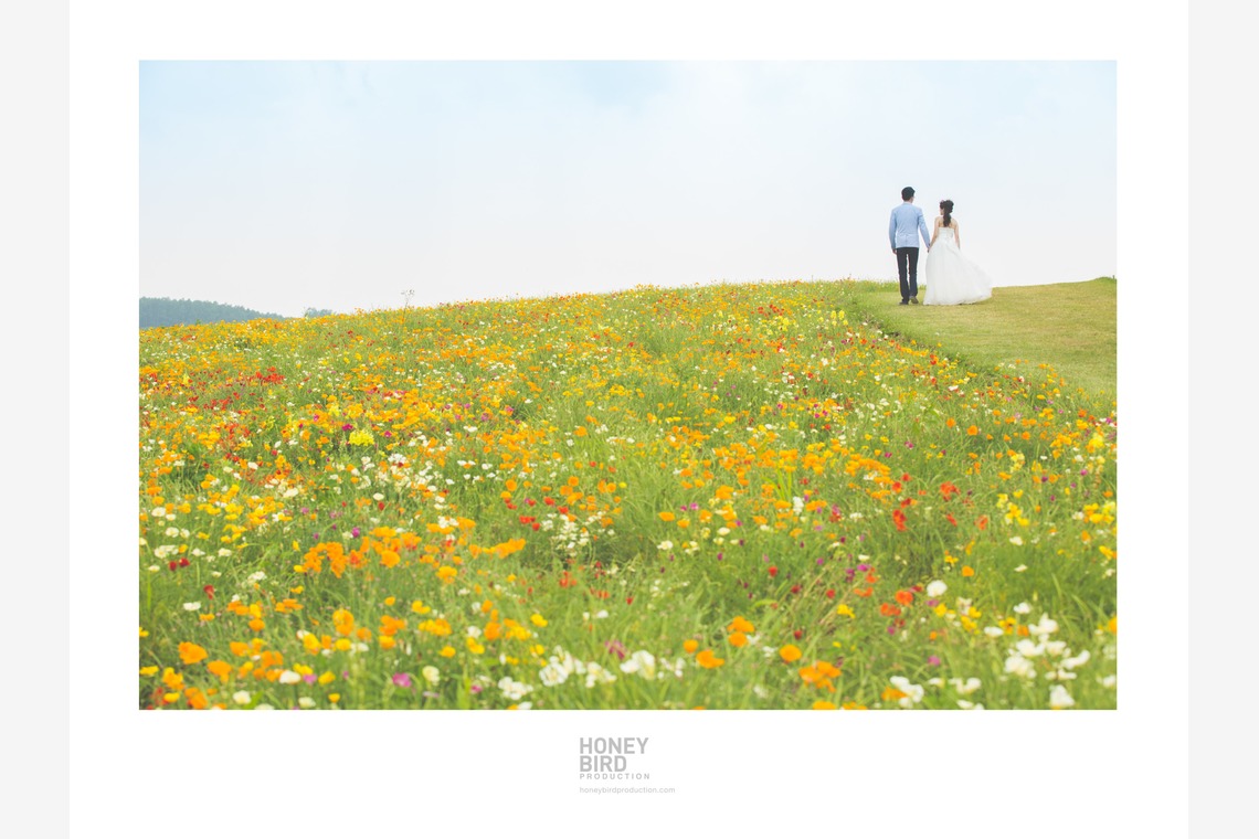 Honeybird Production Wedding Photographyが撮影した写真のアルバム「ロケーション撮影@日本」